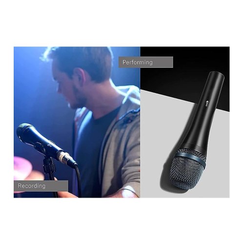 E945 Supercardioid Dynamic Microphone